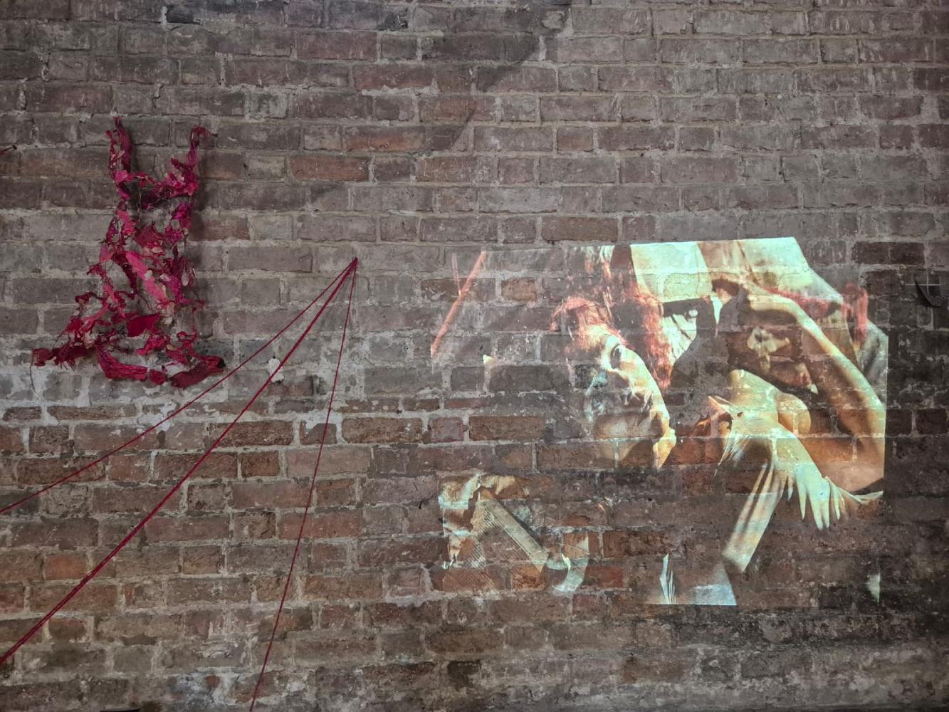 cover Solo Exhbition 