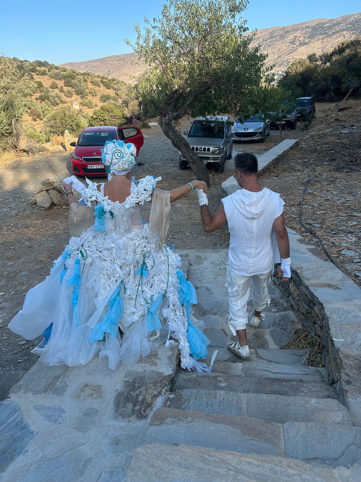 cover Performing the Nymph